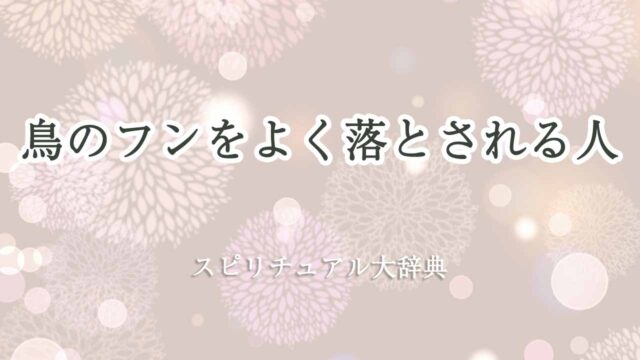 鳥のフン-よく落とされる-スピリチュアル