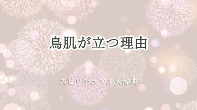 鳥肌が立つ理由-スピリチュアル