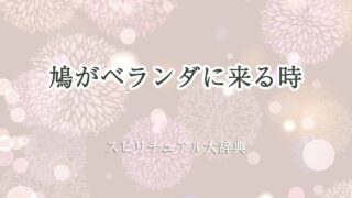 鳩-ベランダに来るスピリチュアル