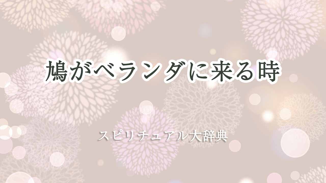 鳩-ベランダに来るスピリチュアル