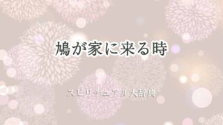 鳩-家に来る-スピリチュアル