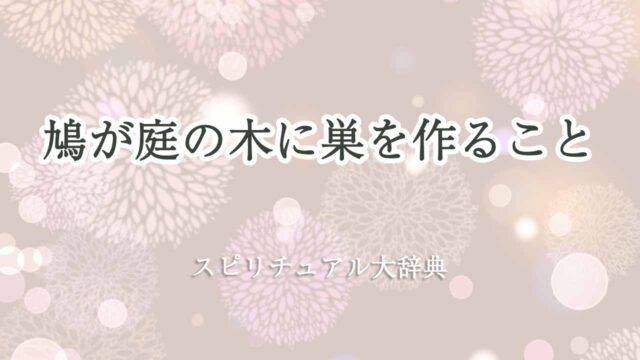 鳩が庭の木に巣を作る-スピリチュアル