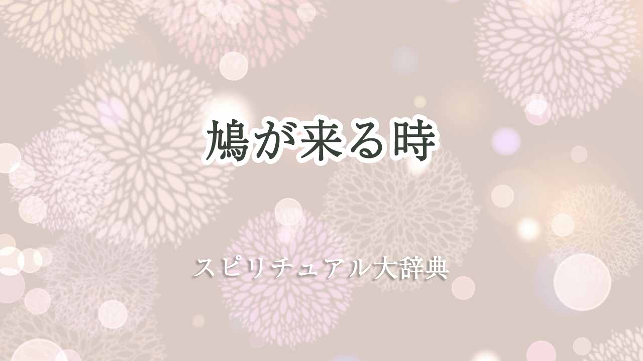 鳩が来る-スピリチュアル