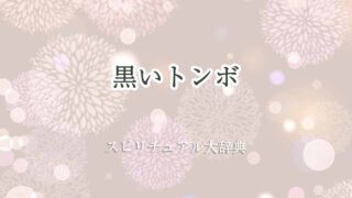 黒いトンボ-スピリチュアル