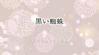 黒い蜘蛛-スピリチュアル