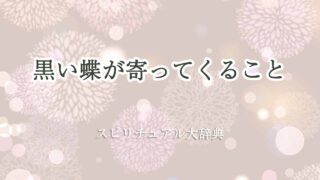 黒い蝶-寄ってくる-スピリチュアル
