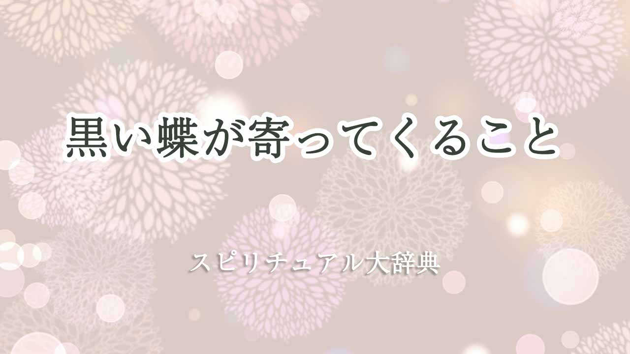 黒い蝶-寄ってくる-スピリチュアル