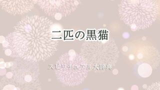 黒猫-二匹-スピリチュアル