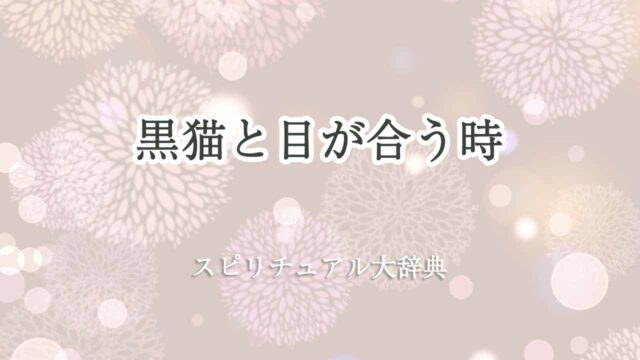 黒猫-目が合う-スピリチュアル