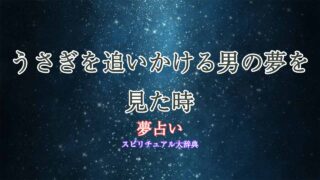うさぎ-夢占い-男