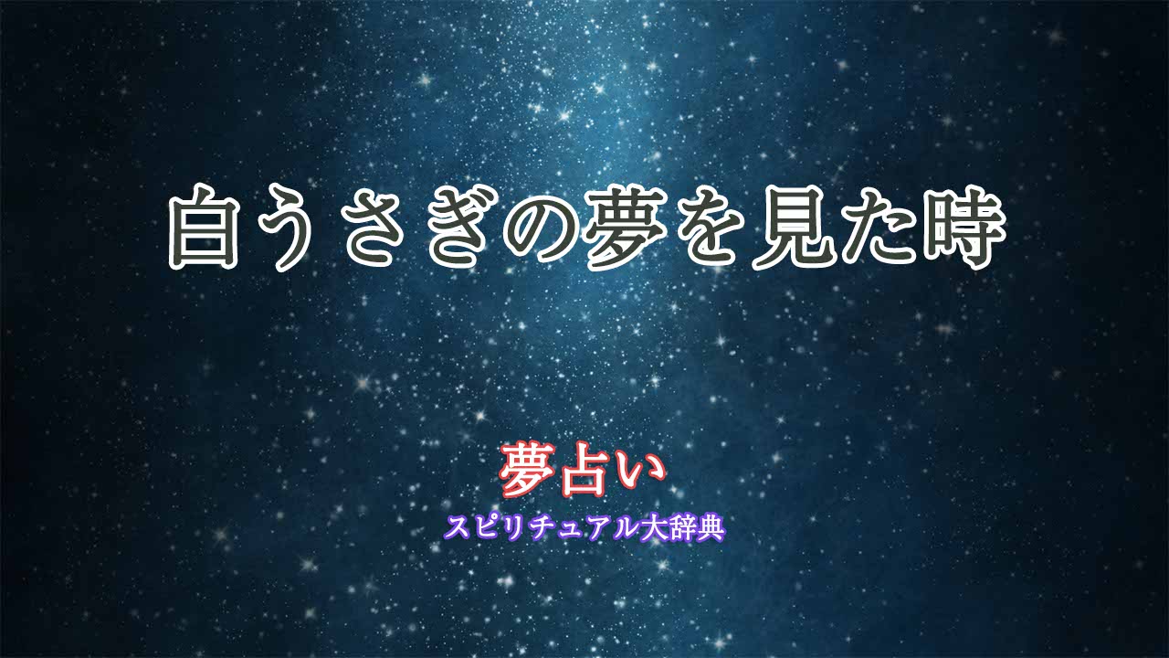 うさぎ-夢占い-白