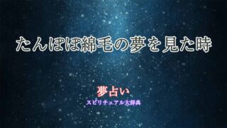 たんぽぽ綿毛-夢占い