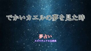 でかいカエル-夢占い