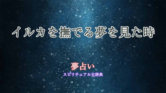 イルカを撫でる-夢占い