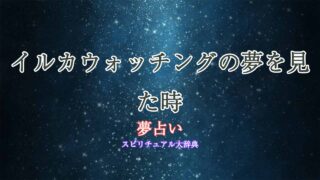 イルカウォッチング-夢占い