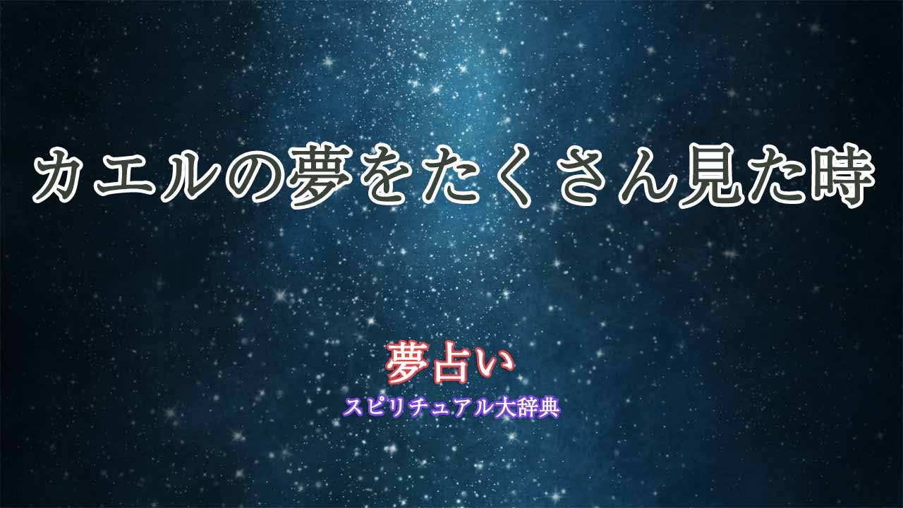 カエル-夢占い-たくさん