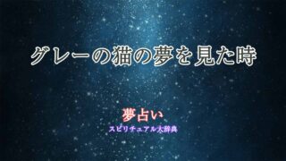グレーの猫-夢占い