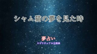 シャム猫-夢占い