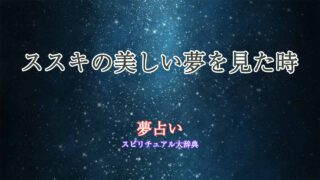 ススキ-綺麗-夢占い