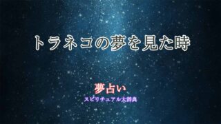 トラネコ-夢占い