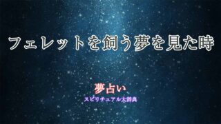 フェレット-飼う-夢占い