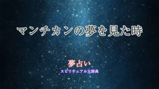 マンチカン-夢占い