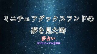 ミニチュアダックスフンド-夢占い