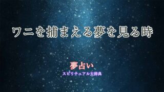 ワニ-夢占い-捕まえる