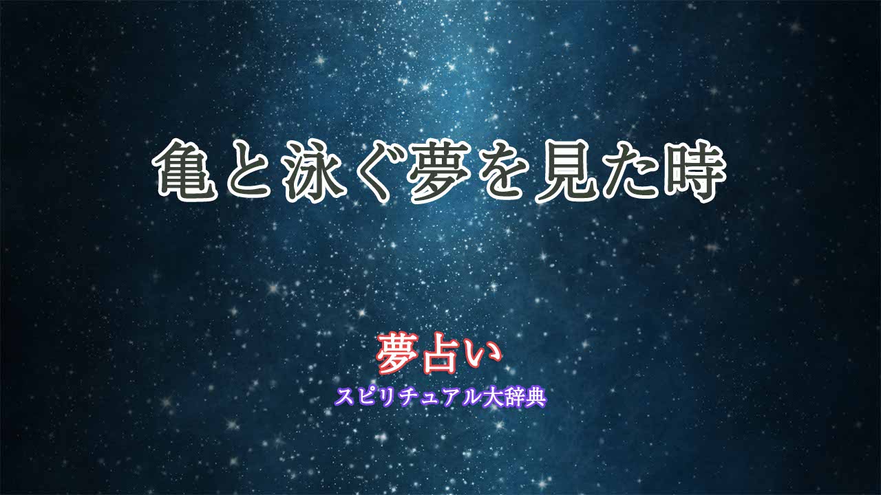 亀と泳ぐ-夢占い