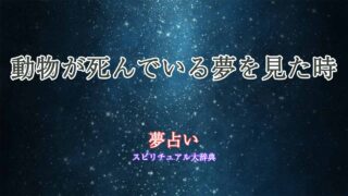 動物の死-夢占い