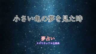 夢-占い-小さい-亀