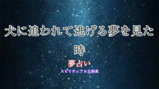 夢-占い-犬-逃げる