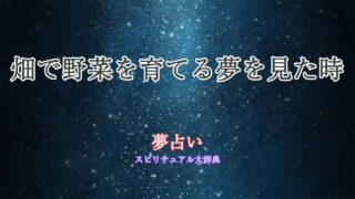 夢-占い-畑-野菜