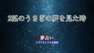 夢占い-うさぎ-2匹