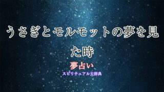 夢占い-うさぎ-モルモット
