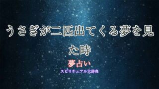 夢占い-うさぎ-二匹