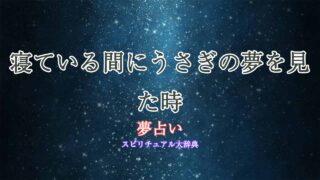 夢占い-うさぎ-寝る