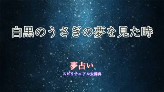 夢占い-うさぎ-白黒