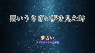 夢占い-うさぎ-黒