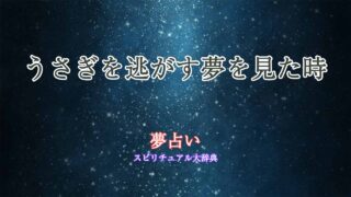 夢占い-うさぎを逃がす