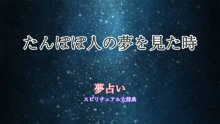 夢占い-たんぽぽ人