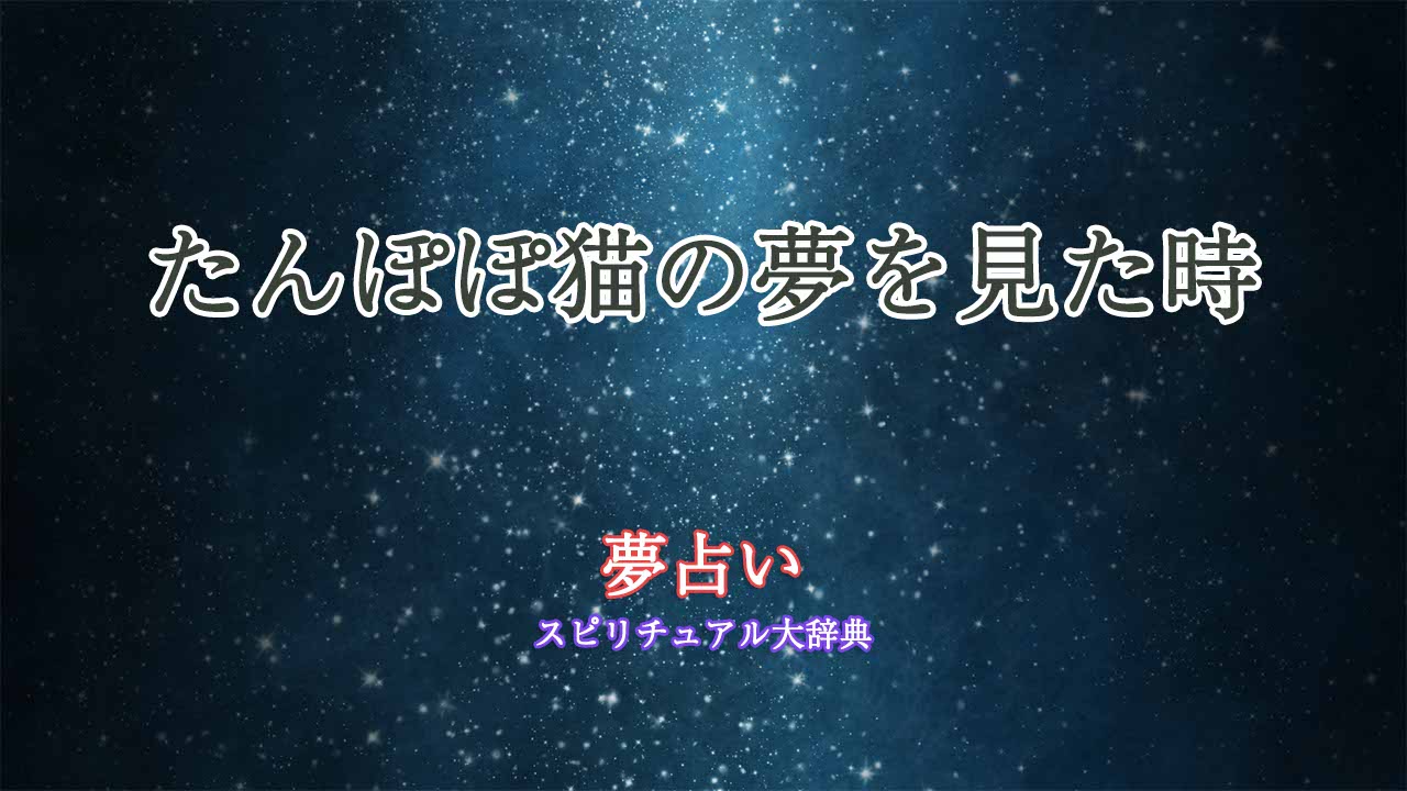 夢占い-たんぽぽ猫