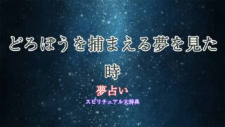 夢占い-どろぼう-捕まえる