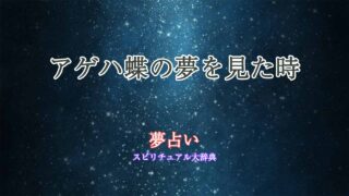 夢占い-アゲハ蝶