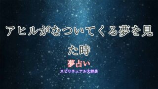夢占い-アヒル-なつく