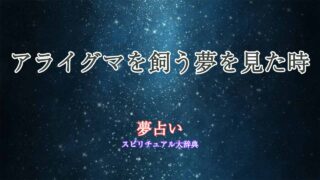 夢占い-アライグマ-飼う