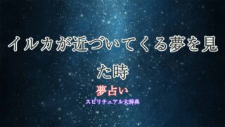 夢占い-イルカ-近づいてくる
