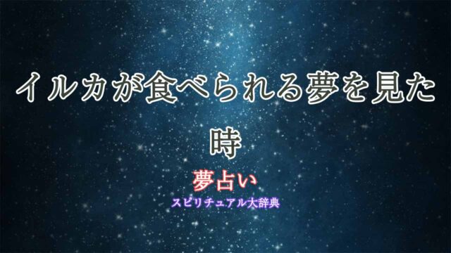 夢占い-イルカ-食べる