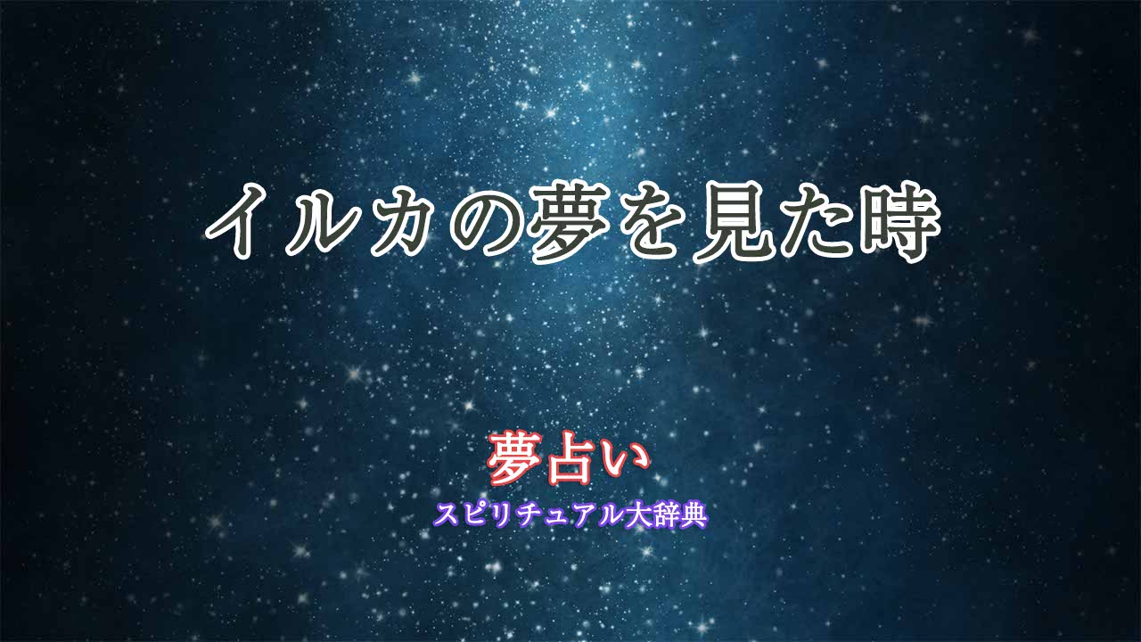 夢占い-イルカ-餌