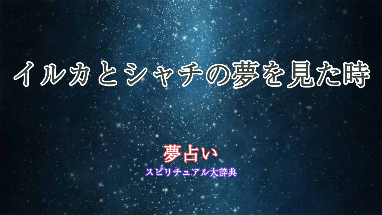 夢占い-イルカとシャチ